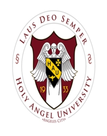 圣安琪大学
